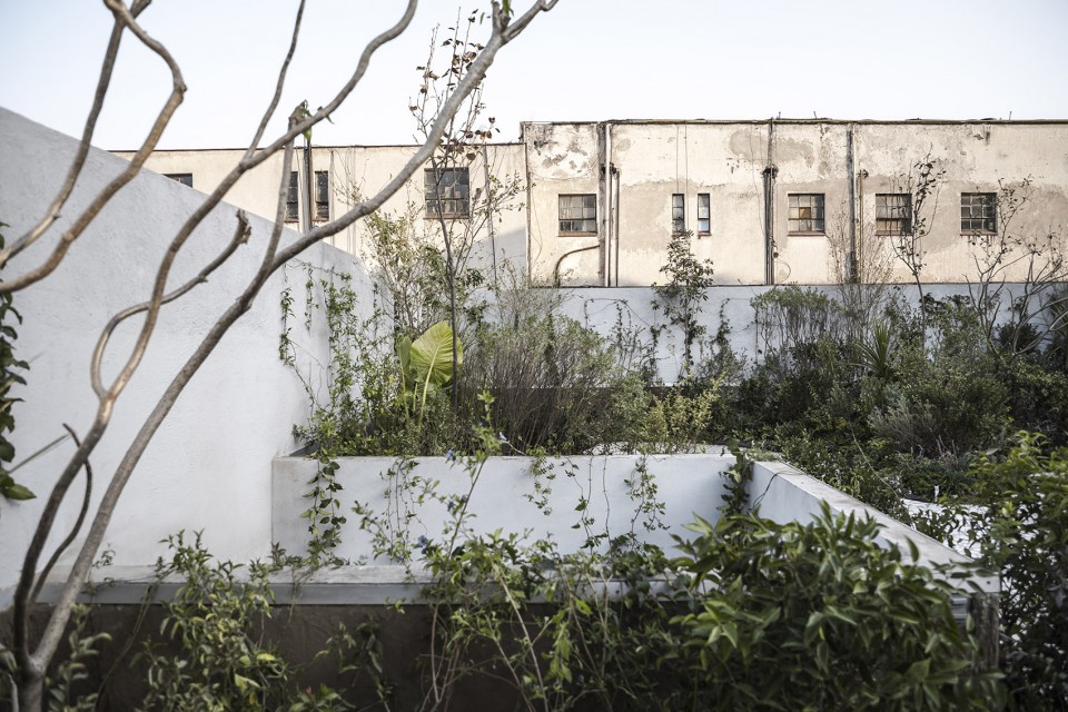 Casa Verne Zeller Moye 010 ©Omar Munoz