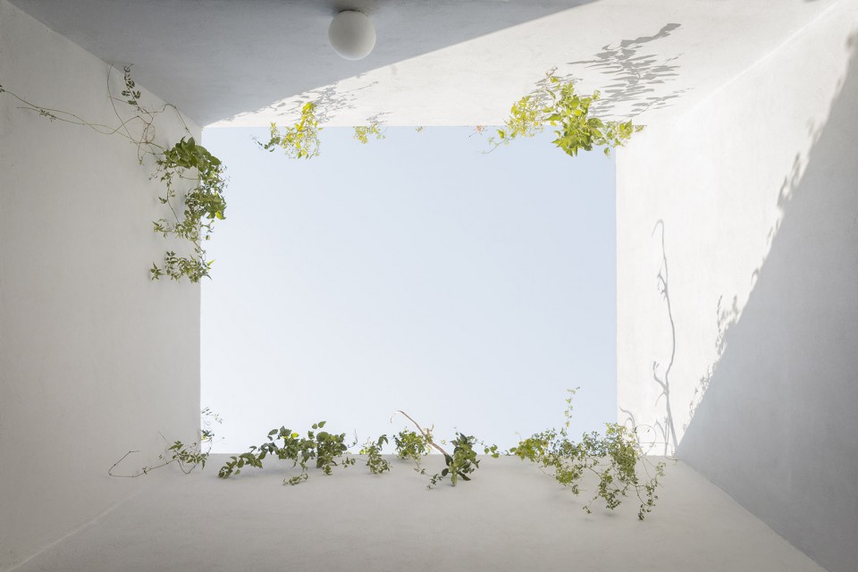Casa Verne Zeller Moye 017 ©Omar Munoz