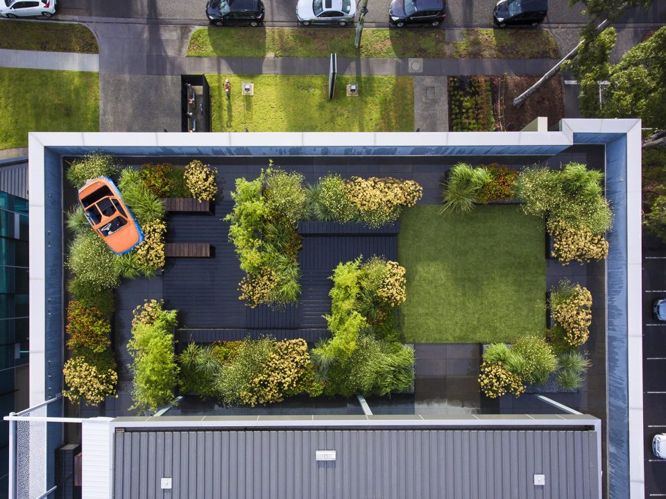 Rooftop Garden Shot from above