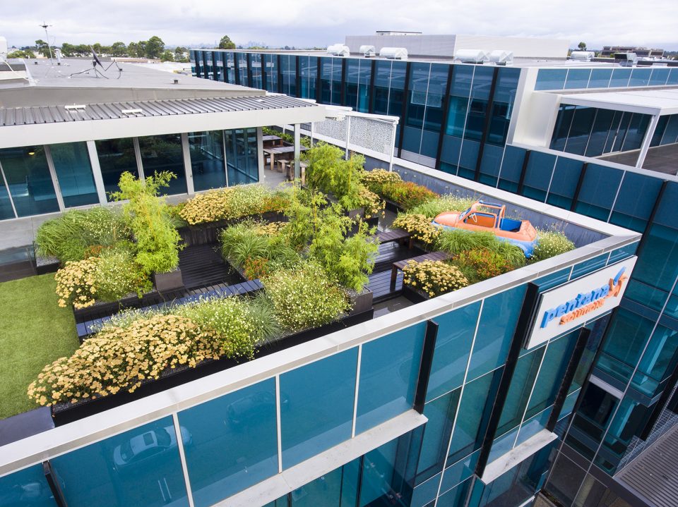 Rooftop Garden A birds eye view