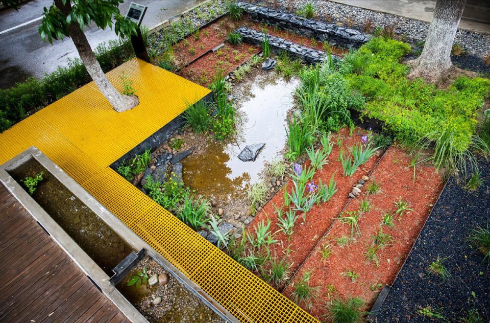 Rain Garden UpS