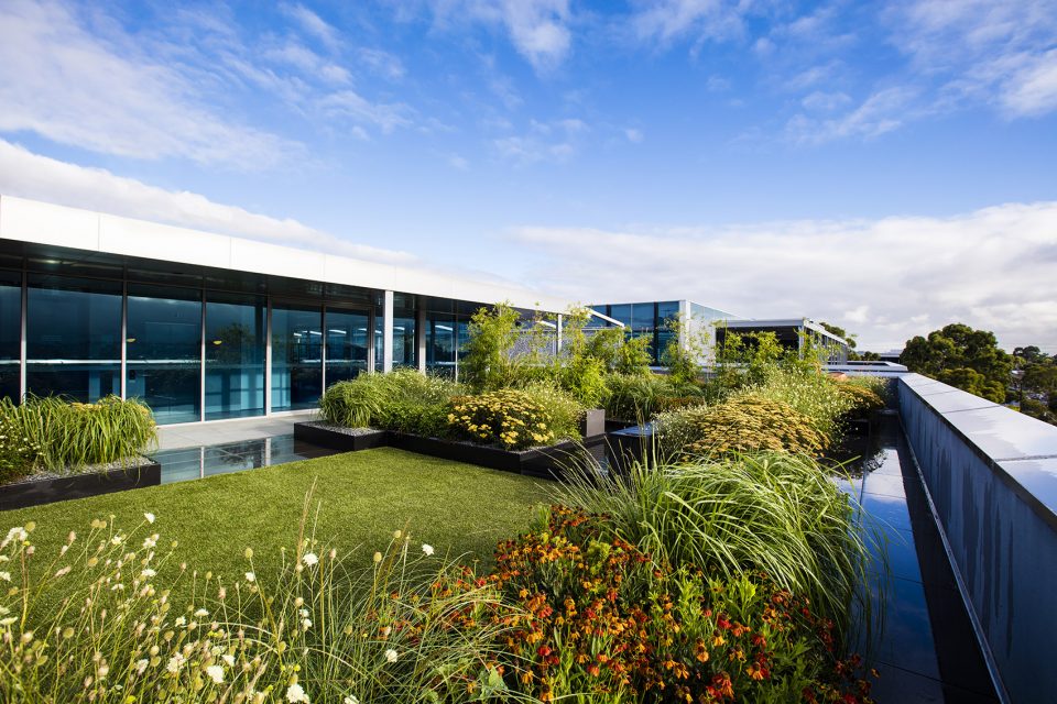 Rooftop Garden Synthetic turf and mixed planting