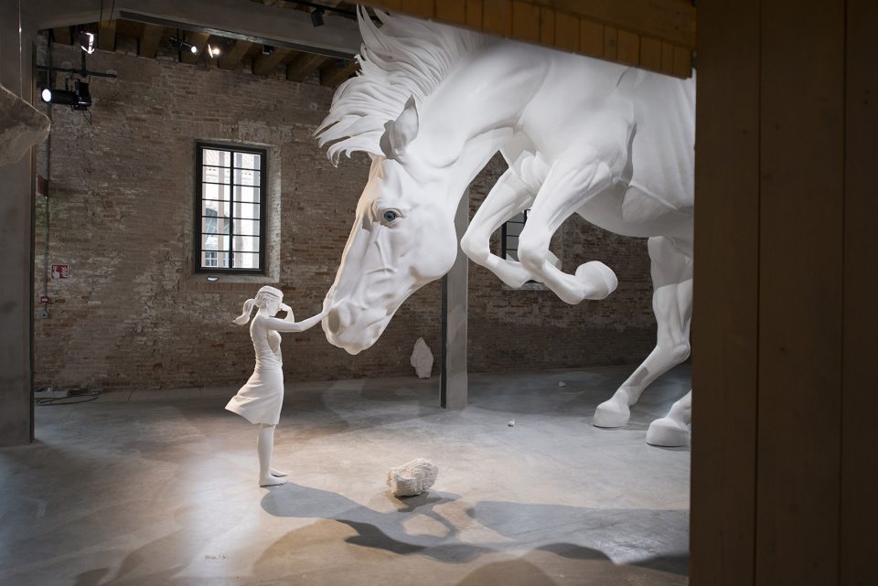 the horse problem claudia fontes