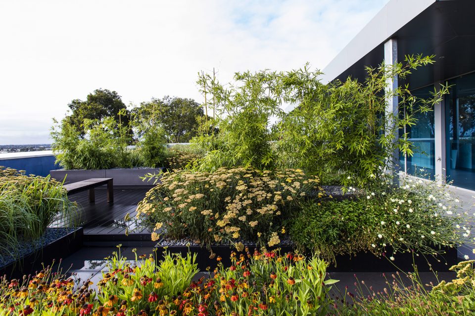 Rooftop Garden Perennials and seating area