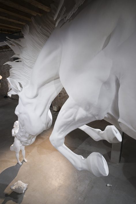 the horse problem claudia fontes