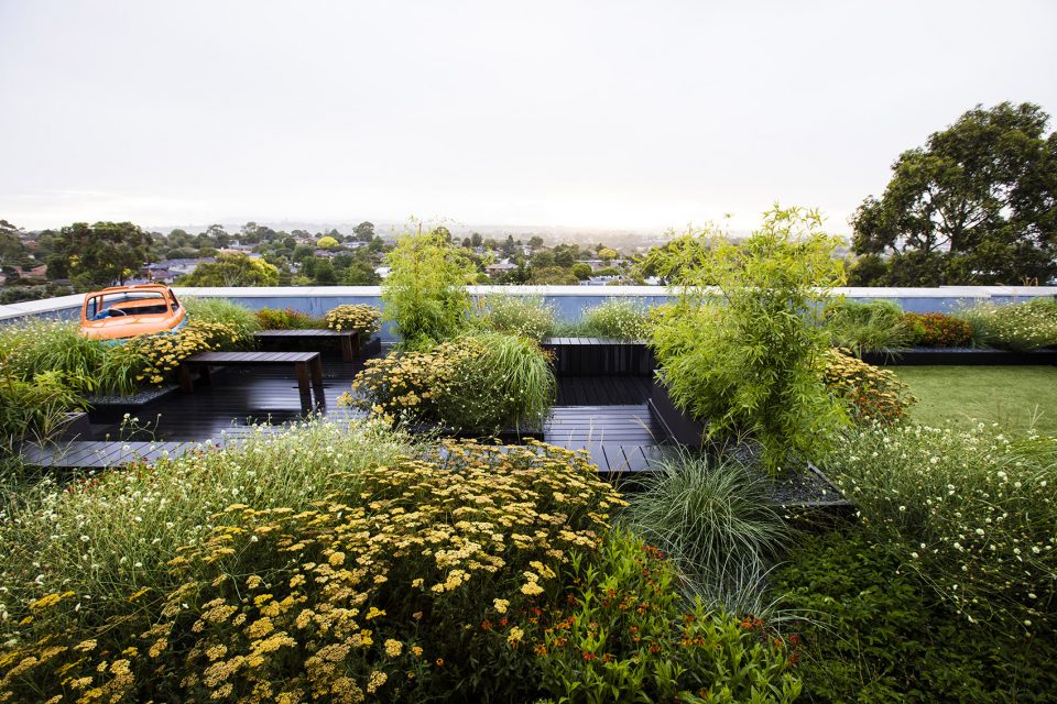 Rooftop Garden Rooftop garden