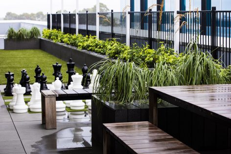 Rooftop Garden Textures galore