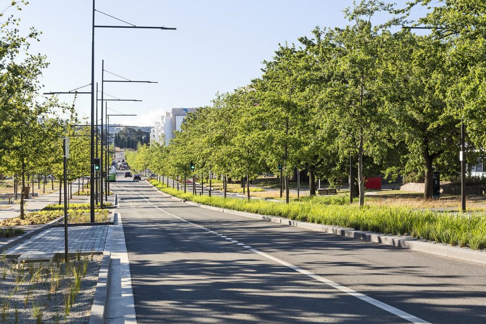 Constitution Ave