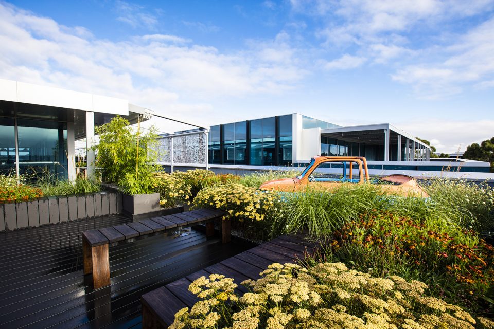 Rooftop Garden Feature car perennials and timber seating
