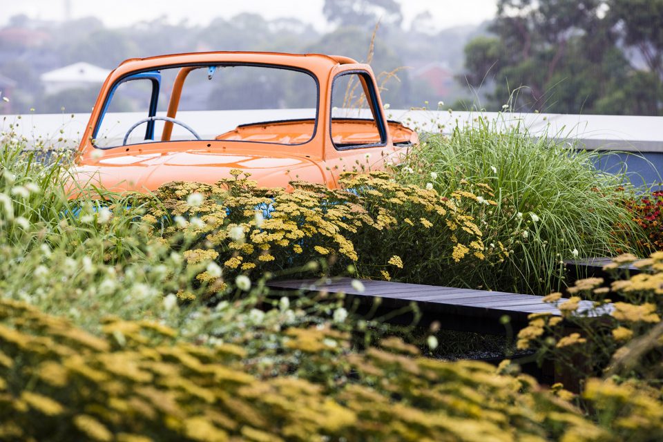 Rooftop Garden Feature car