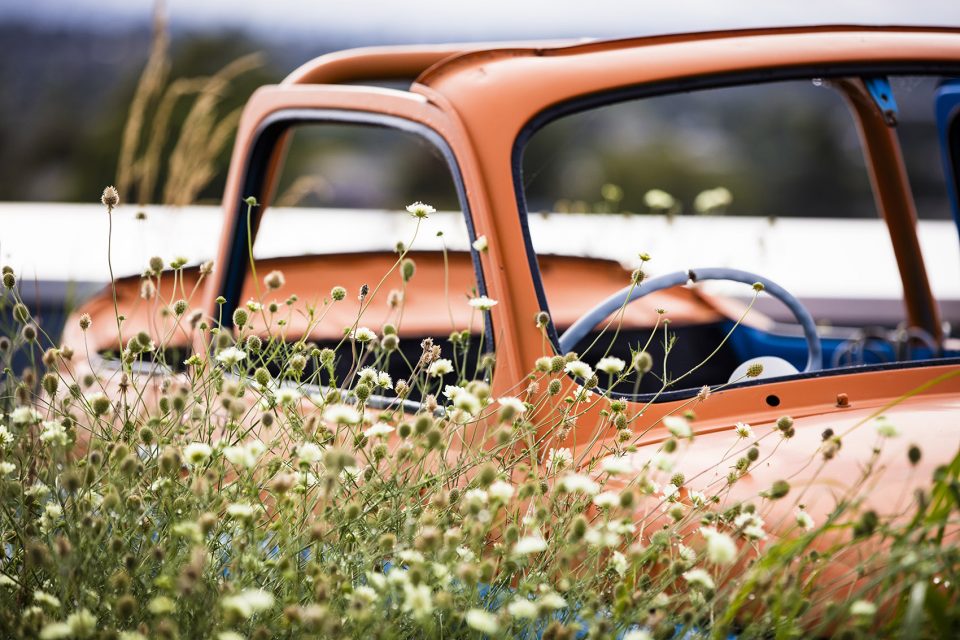 Rooftop Garden Feature car through perennials