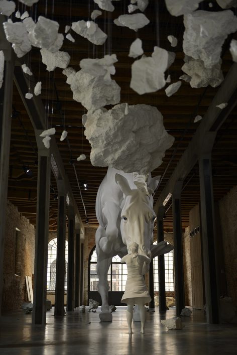 the horse problem claudia fontes
