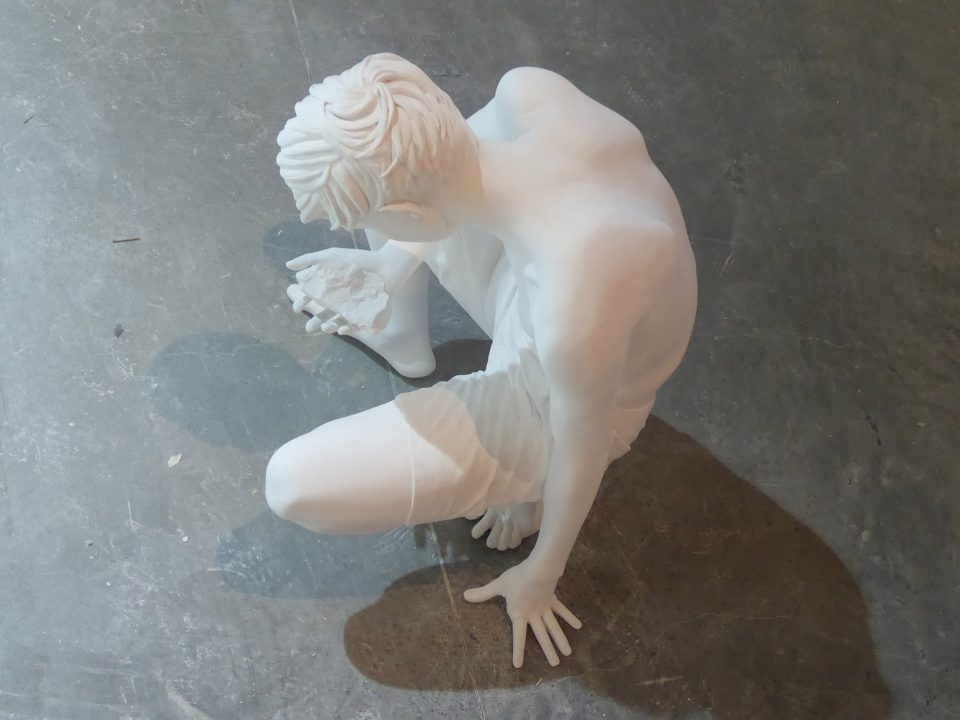 the horse problem claudia fontes