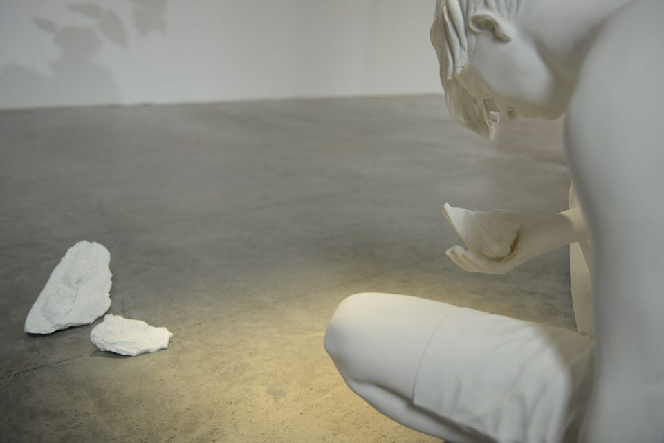 the horse problem claudia fontes
