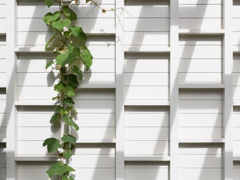 Malvern East 4 By Pleysier Perkins Architects