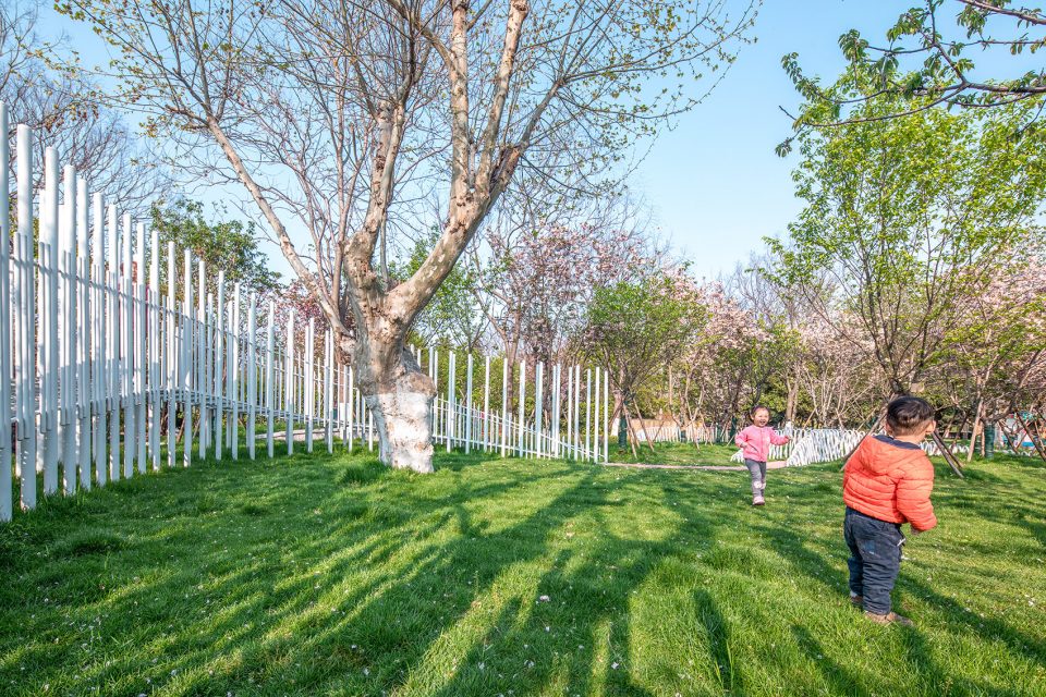 Instant and constant the cherry blossom garden