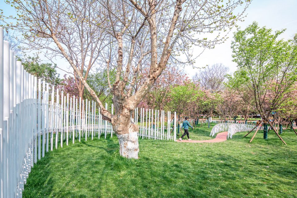 Instant and constant the cherry blossom garden