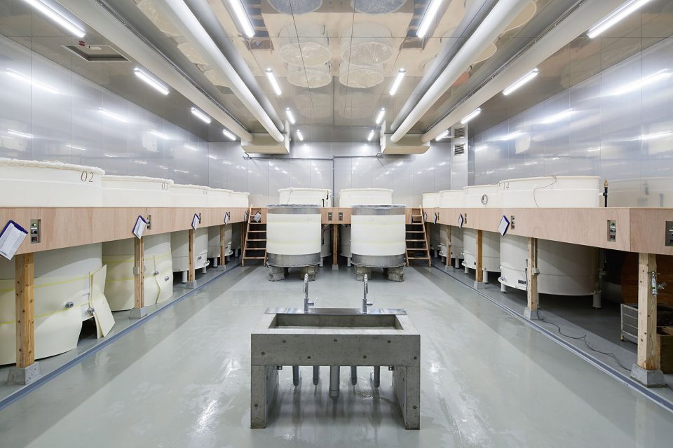 A Sake Brewery Addition