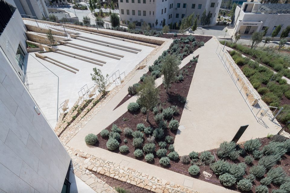 The Palestinian Museum