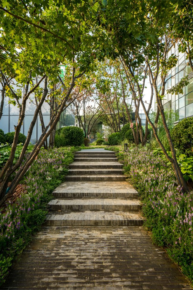 Daxing Park Phase II