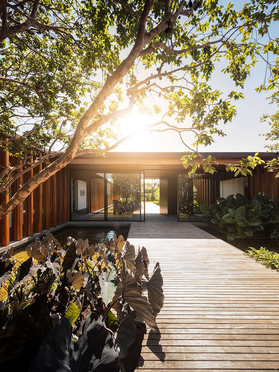 Oscar Segall House By Jacobsen Arquitetura