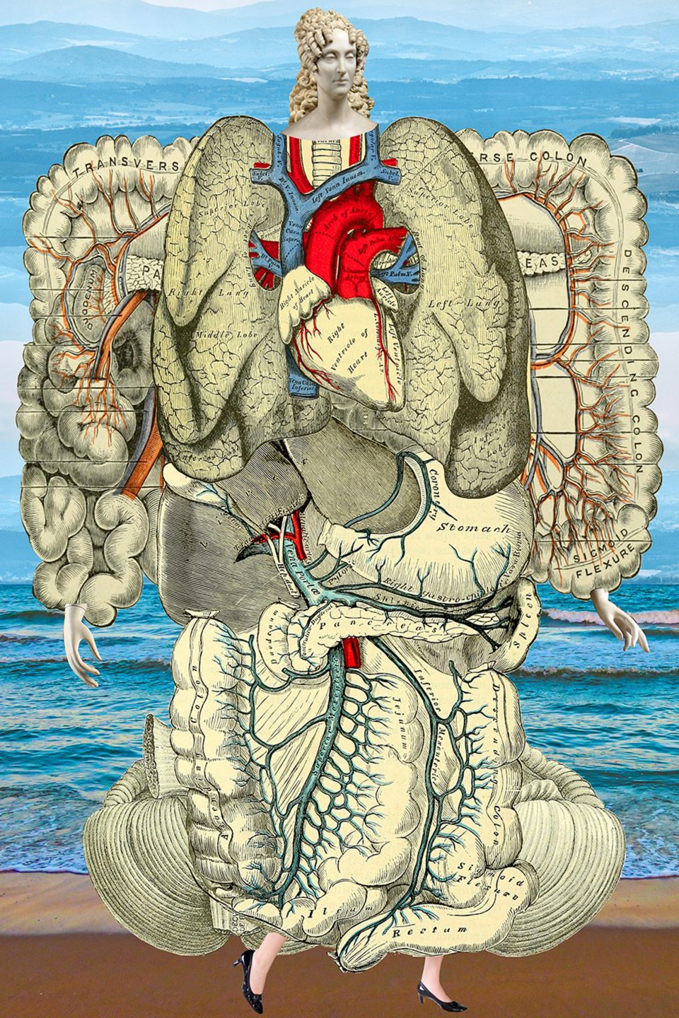The Catalogue of Imaginary Beings