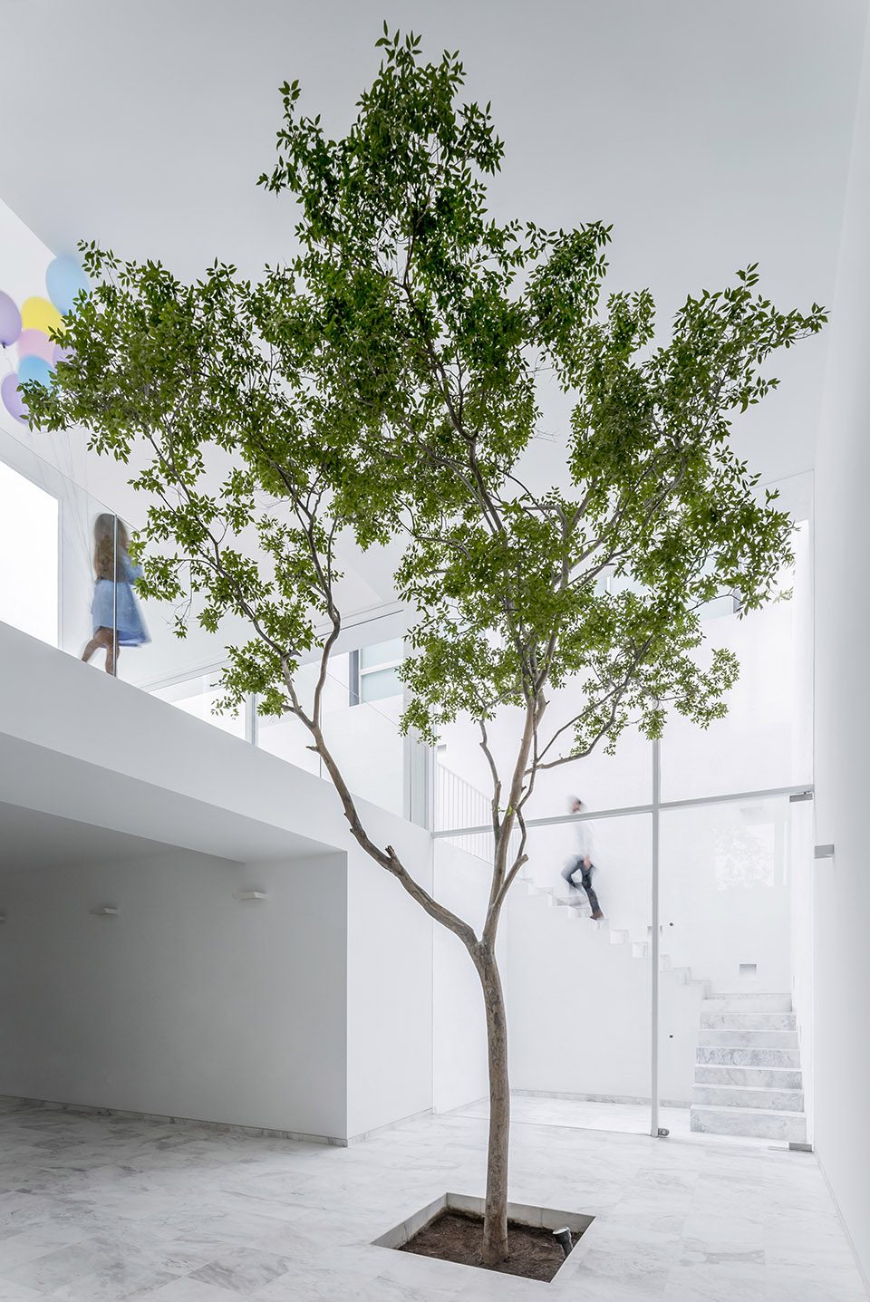 The Cave By Abraham Cota Paredes Arquitectos