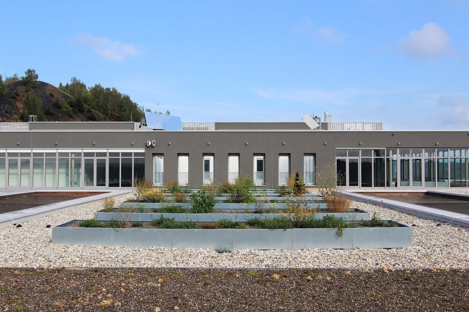 roof garden1 Fire Station THOMAS PIRON CIT BLATON