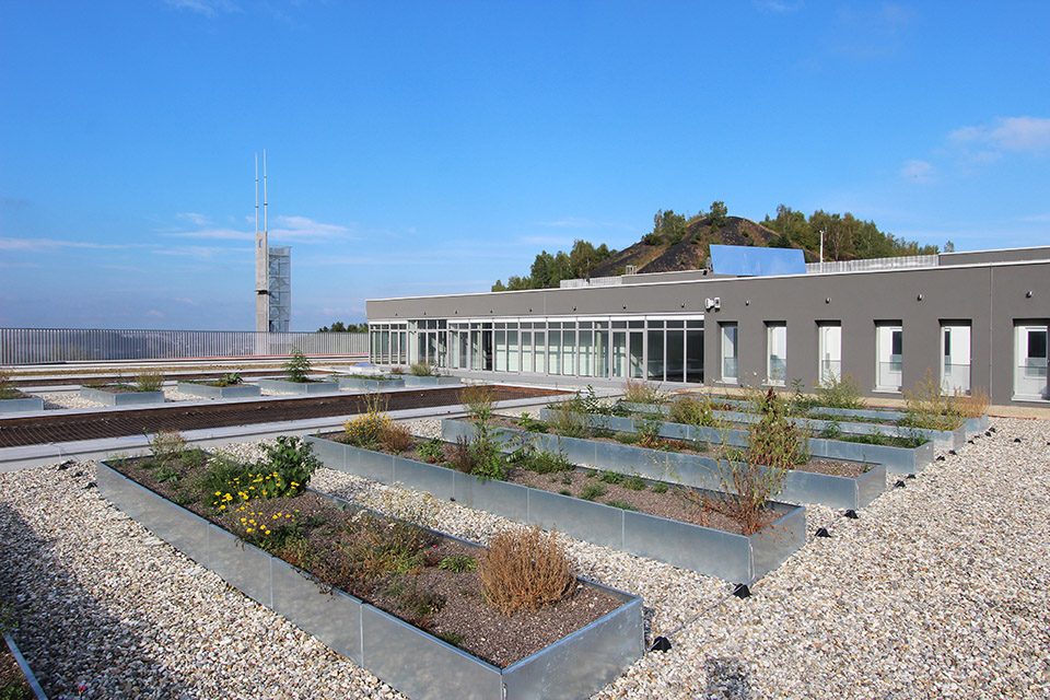 roof garden2 Fire Station THOMAS PIRON CIT BLATON