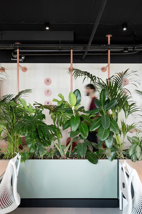 Catena Media Belgrade office by Studio AUTORI 020