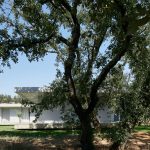 法努住宅，葡萄牙 / BRUNO DIAS/ ARQUITECTURA