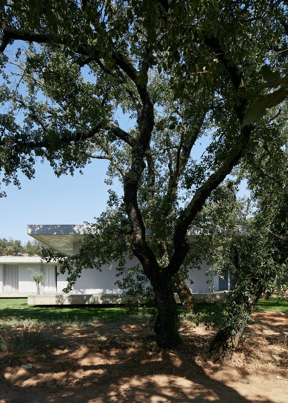 Fanu House by BRUNO DIAS 002