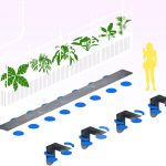 Color Camp美甲店，洛杉矶 / Weekday Studio