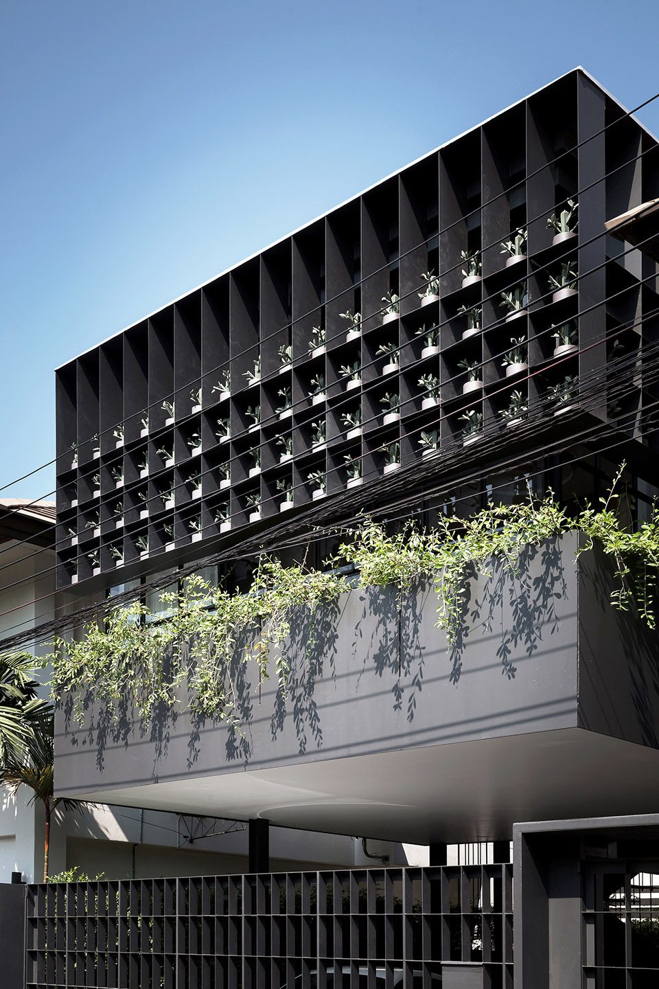 Baan Flower Cage Flower Cage house by Anonym Studio