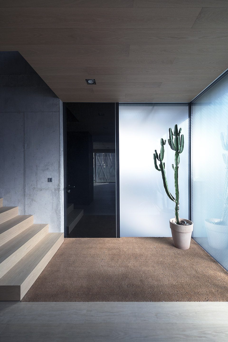 Villa Criss Cross Envelope By OFIS Architects