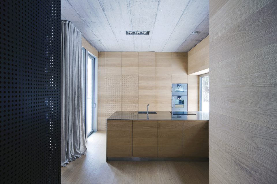 Villa Criss Cross Envelope By OFIS Architects