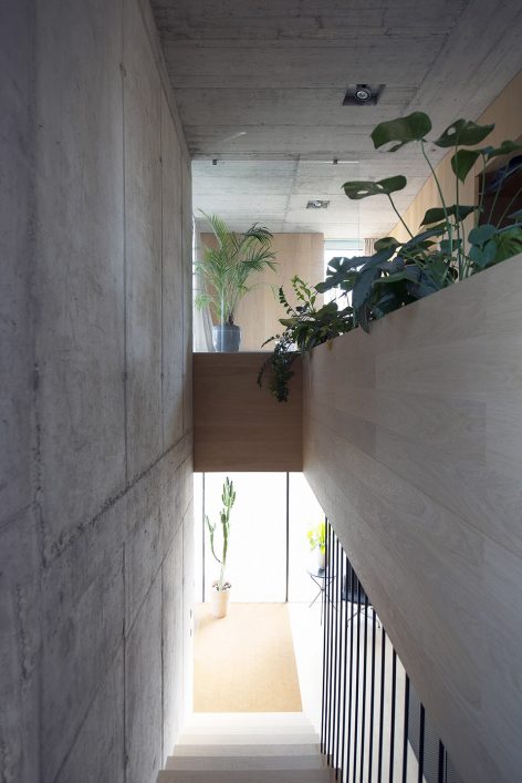 Villa Criss Cross Envelope By OFIS Architects