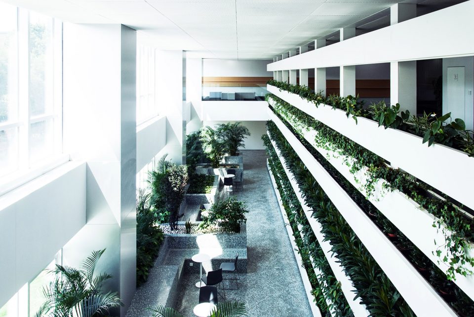 More Design Radical Office Typology for Minth HQ By MORE Architecture