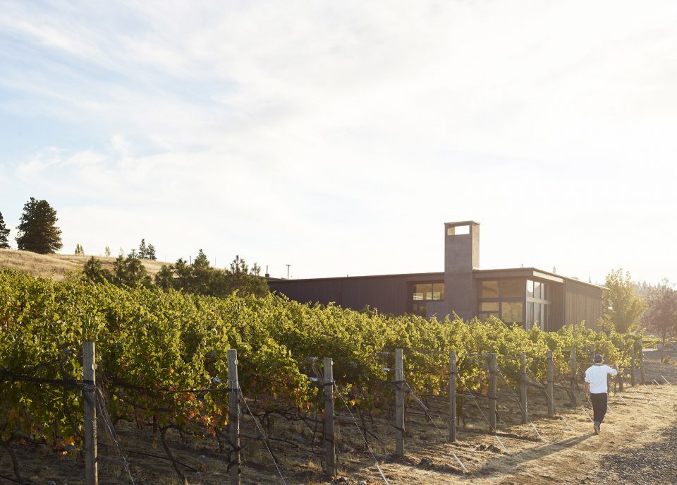 COR Cellars By goCstudio