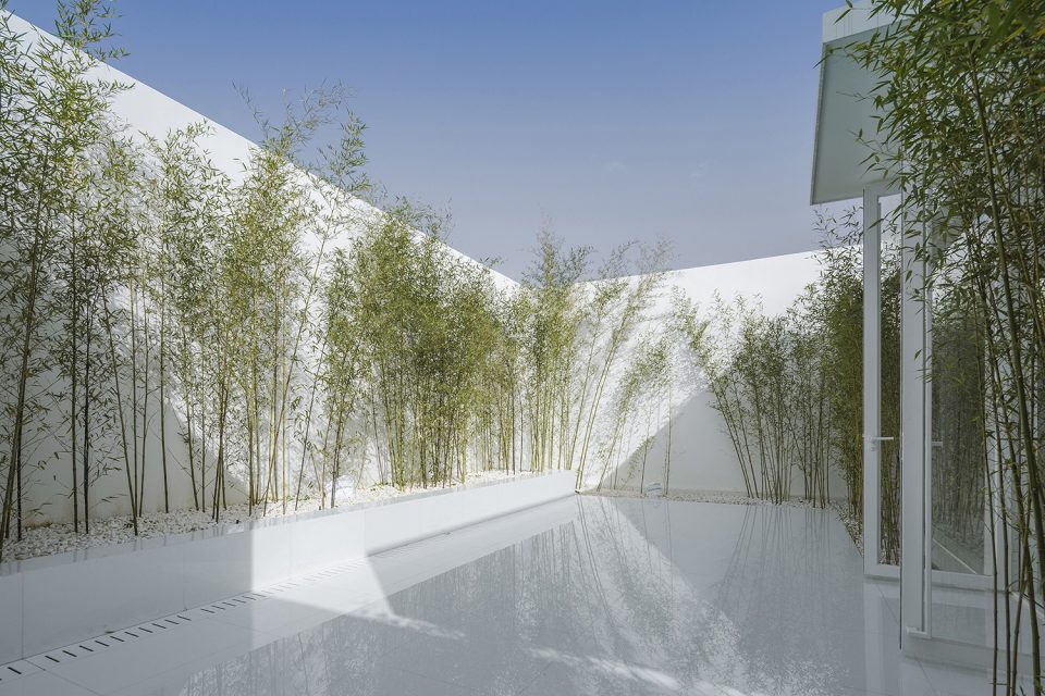 Bamboo Forest on the Roof By V STUDIO