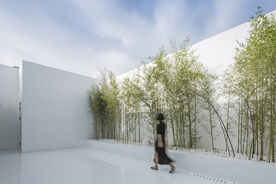 Bamboo Forest on the Roof By V STUDIO