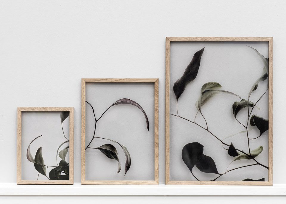 FLOATING LEAVES By Moebe Paper Collective Norm Architects
