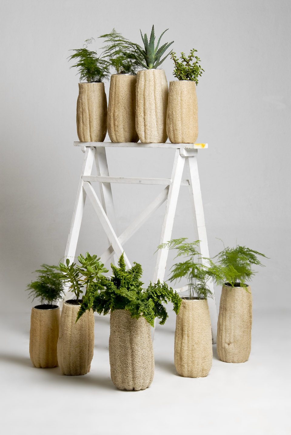Lufa Series by Fernando Laposse