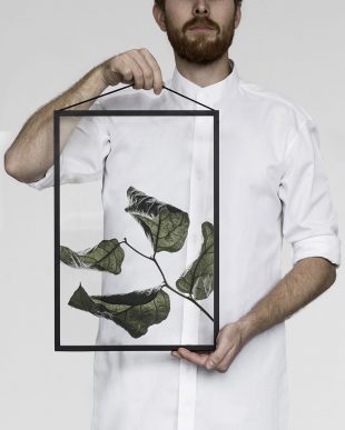 FLOATING LEAVES By Moebe Paper Collective Norm Architects