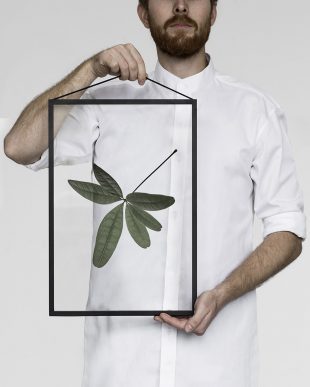 FLOATING LEAVES By Moebe Paper Collective Norm Architects
