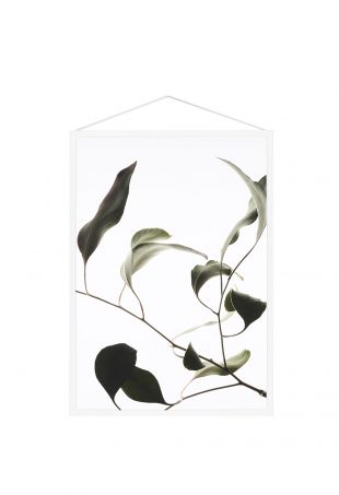 FLOATING LEAVES By Moebe Paper Collective Norm Architects