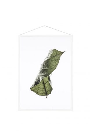 FLOATING LEAVES By Moebe Paper Collective Norm Architects