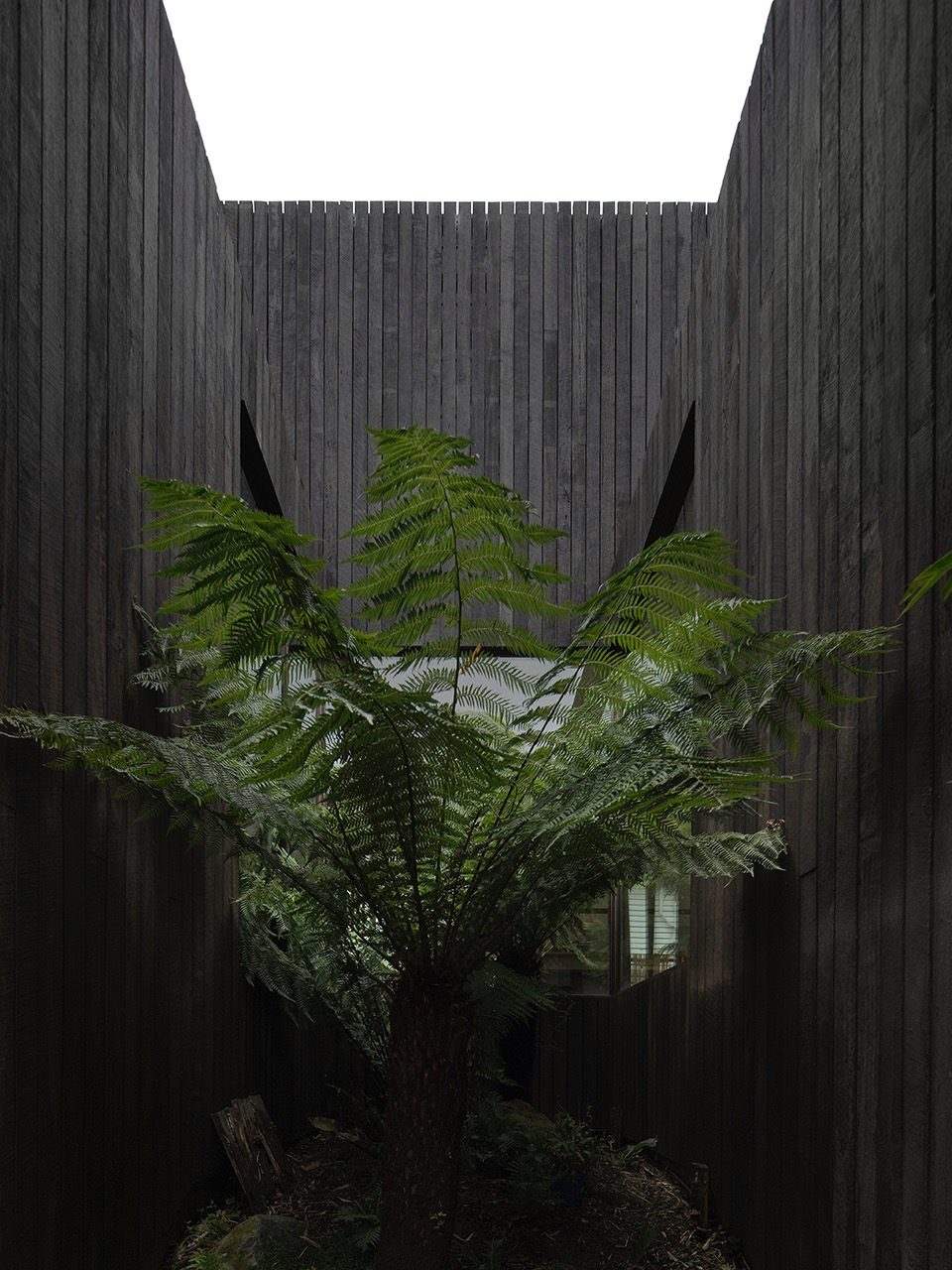 House A by WalterWalter