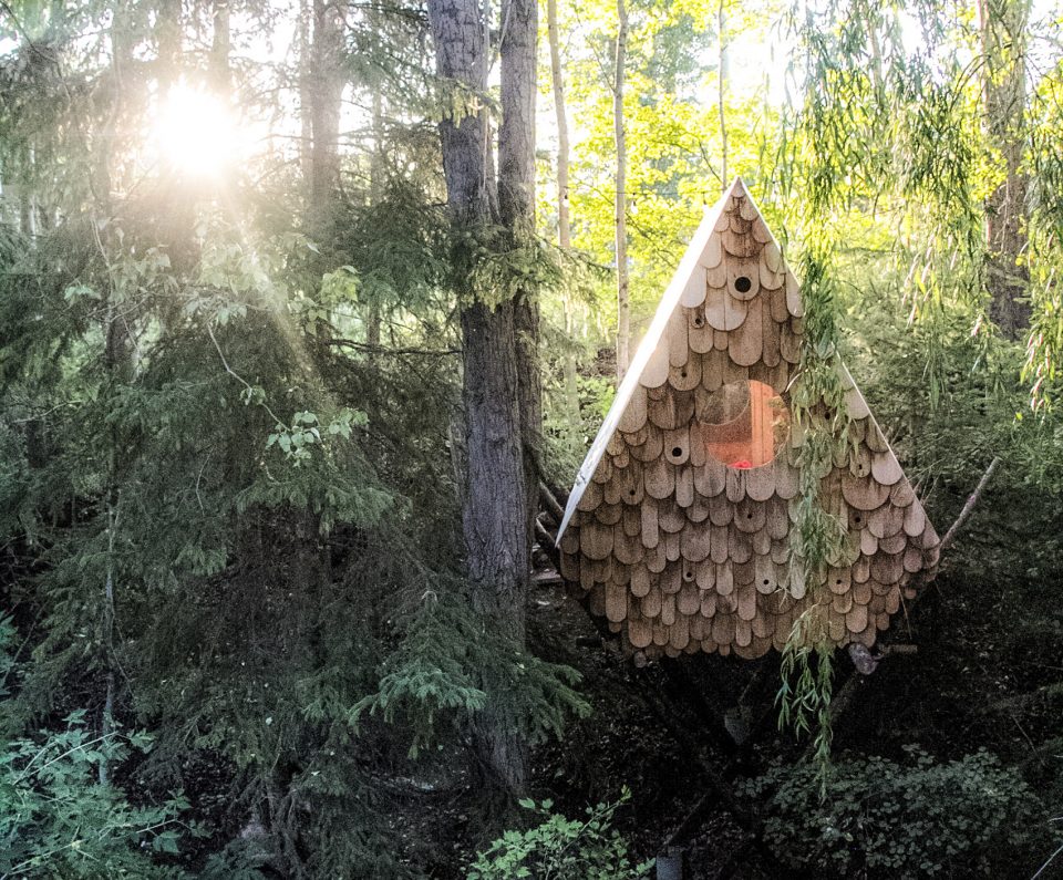 Birdhut by Studio North