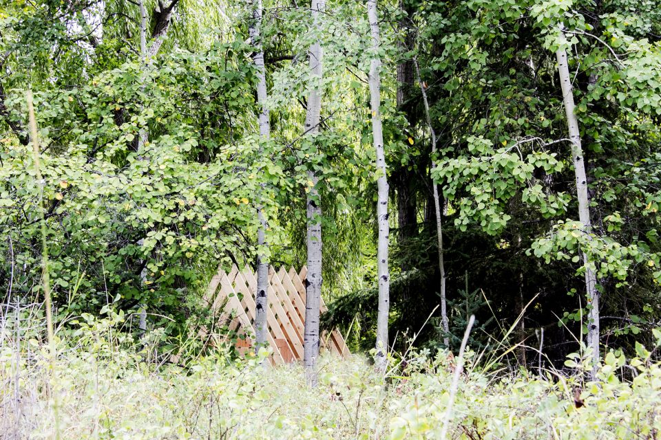 Birdhut by Studio North